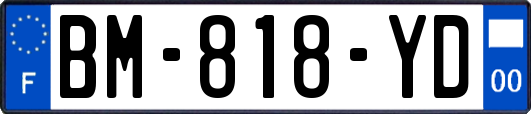 BM-818-YD