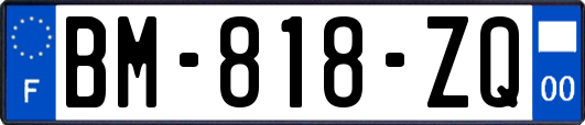 BM-818-ZQ