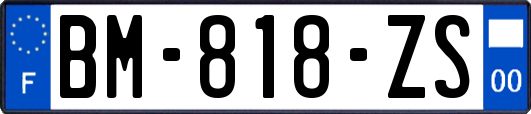 BM-818-ZS