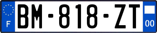 BM-818-ZT