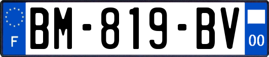 BM-819-BV