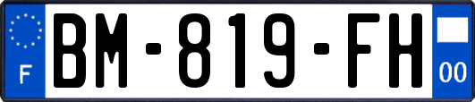 BM-819-FH