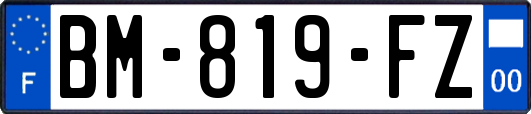 BM-819-FZ