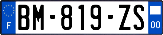 BM-819-ZS