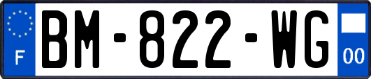 BM-822-WG