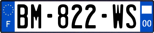 BM-822-WS
