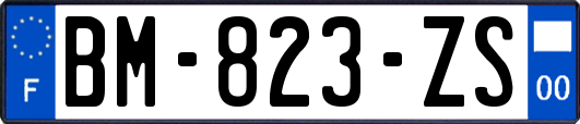 BM-823-ZS