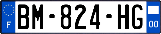 BM-824-HG