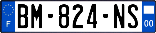 BM-824-NS