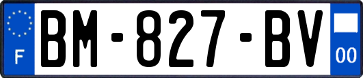 BM-827-BV