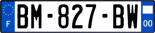 BM-827-BW