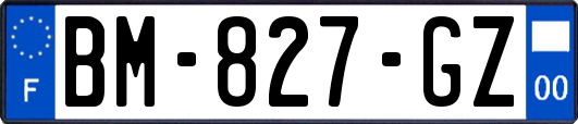 BM-827-GZ