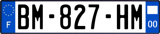 BM-827-HM