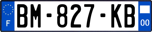 BM-827-KB