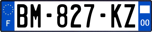 BM-827-KZ