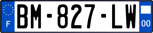 BM-827-LW