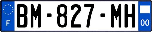 BM-827-MH