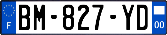 BM-827-YD