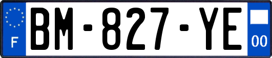 BM-827-YE