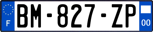 BM-827-ZP