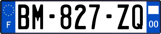 BM-827-ZQ