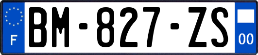 BM-827-ZS