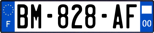 BM-828-AF