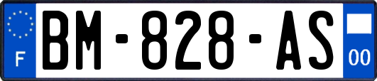BM-828-AS