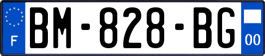 BM-828-BG