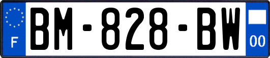 BM-828-BW