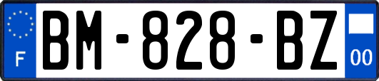 BM-828-BZ