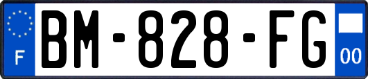 BM-828-FG