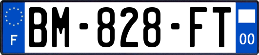 BM-828-FT