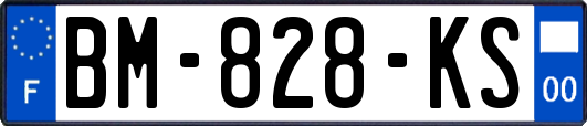 BM-828-KS