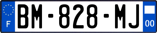 BM-828-MJ