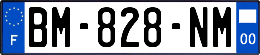 BM-828-NM