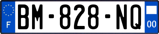 BM-828-NQ