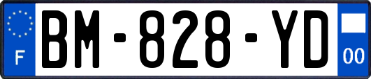 BM-828-YD