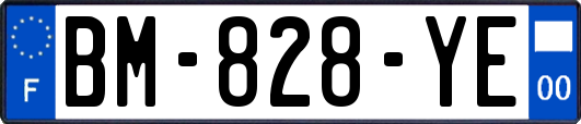BM-828-YE