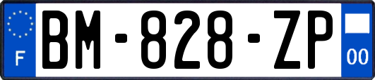 BM-828-ZP