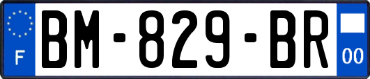 BM-829-BR