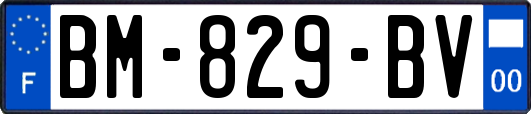 BM-829-BV