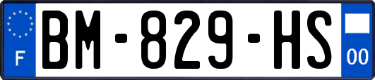 BM-829-HS