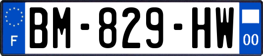 BM-829-HW
