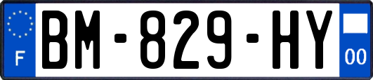 BM-829-HY