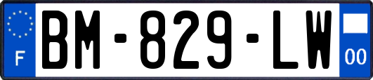 BM-829-LW