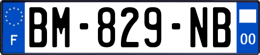 BM-829-NB