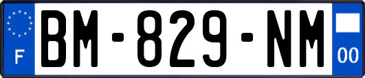 BM-829-NM