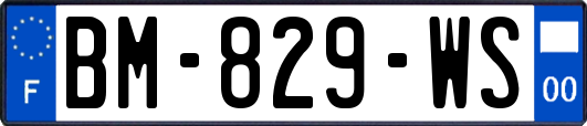 BM-829-WS