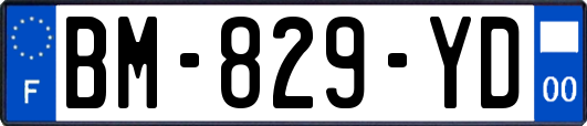 BM-829-YD